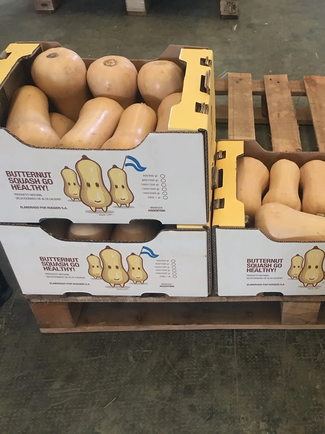 Packaging Ruggeri 1
