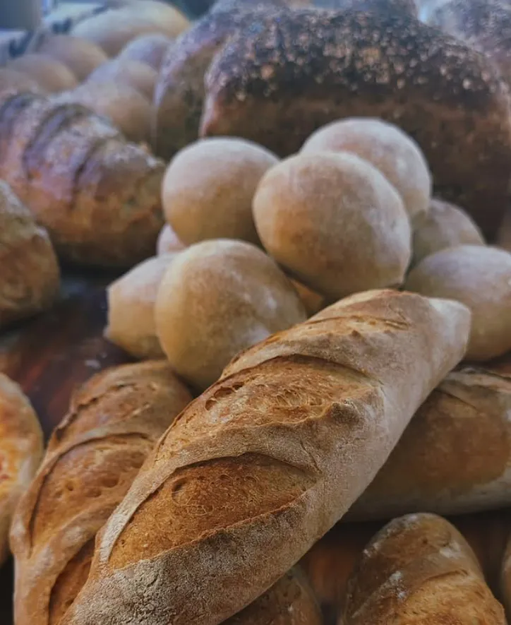 Panatica 2