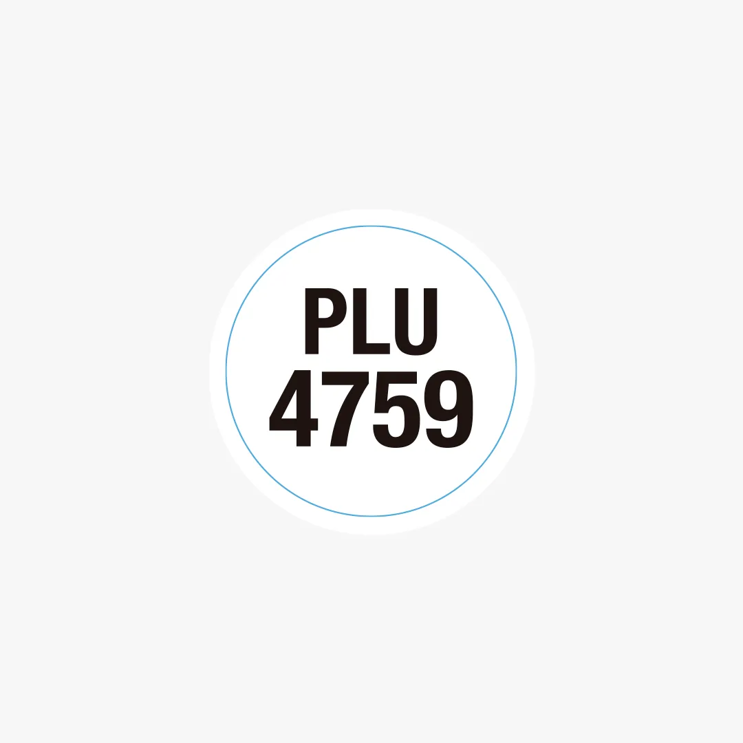 Sticker Ruggeri 4