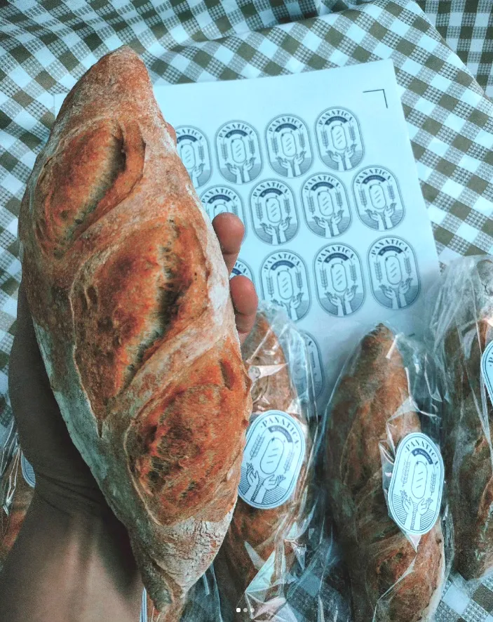 Panatica 4